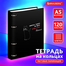 Тетрадь на кольцах А5 160х212 мм, 120 листов, картон, матовая ламинация, клетка, BRAUBERG, "Просто Кот", 404723