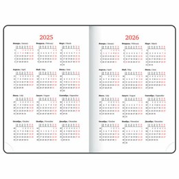 Ежедневник датированный 2025, А5, 138x213 мм, BRAUBERG "Towny", под кожу, клапан, черный, 115764