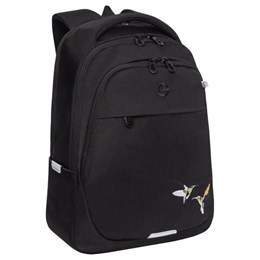 Рюкзак GRIZZLY школьный, анатомическая спинка, 2 отделения, для девочек, "COLIBRI", чёрный, 40х29х20 см, RD-540-2/4