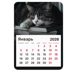Календарь отрывной на магните на 2026 г., BRAUBERG, 130х180 мм, склейка, "Спящий кот", 117292