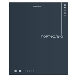 Папка-портфолио универсальная, 4 кольца, 20 файлов, 7БЦ матовая, BRAUBERG "Minimalism", 117553