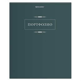 Папка-портфолио универсальная, 4 кольца, 20 файлов, 7БЦ матовая, BRAUBERG "Classic", 117554