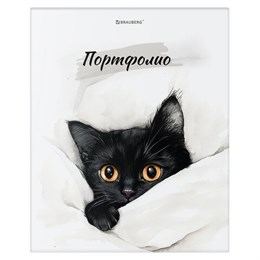 Папка-портфолио универсальная, 4 кольца, 20 файлов, 7БЦ матовая, BRAUBERG "Cat", 107557, 117557