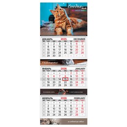 Календарь квартальный 2026 г., 3 блока, 3 гребня, бегунок, мелованная бумага, BRAUBERG EXTRA, "Котик", 116824