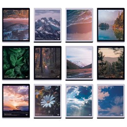 Тетради предметные, КОМПЛЕКТ 12 ПРЕДМЕТОВ, 48 л., матовая ламинация, BRAUBERG, "ПРИРОДА", 405606