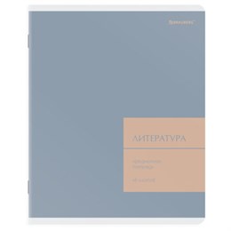 Тетрадь предметная MonoPastel 48л, пластиковая обложка, ЛИТЕРАТУРА, линия, подсказ, BRAUBERG, 405509