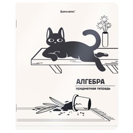 Тетрадь предметная КОТ-НЕПОСЕДА 48л, пластиковая обложка, АЛГЕБРА, клетка, подсказ, BRAUBERG, 405527