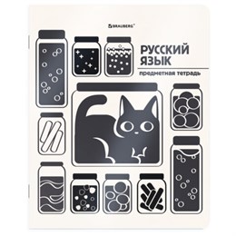 Тетрадь предметная КОТ-НЕПОСЕДА 48л, пластиковая обложка, РУССКИЙ ЯЗЫК, линия, подсказ, BRAUBERG, 405536
