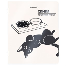 Тетрадь предметная КОТ-НЕПОСЕДА 48л, пластиковая обложка, ХИМИЯ, клетка, подсказ, BRAUBERG, 405538
