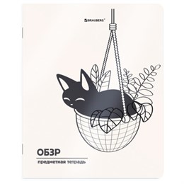 Тетрадь предметная КОТ-НЕПОСЕДА 48л, пластиковая обложка, ОБЗР, клетка, подсказ, BRAUBERG, 405539