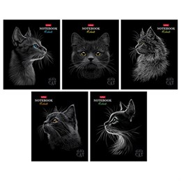 Тетрадь А5 48л. HATBER скоба, клетка, матовая ламинация, 3D лак, Black Cat (микс в сп, 48Т5лолВ1