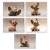 Альбом для рисования А4, 24 л., скоба, обложка картон, ERICH KRAUSE, 203х297 мм, "Frenchie" (микс в спайке), 63446 - фото 10007627