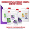 Средство для мытья посуды 5 л, СИФ "Professional", концентрированное - фото 10058683