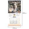 Календарь настенный перекидной 2027 г., BRAUBERG, 12 листов, 21,4х42,8 см, МИНИ, "Funny goats", 118432 - фото 10543793