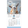 Календарь настенный перекидной 2027 г., BRAUBERG, 12 листов, 21,4х42,8 см, МИНИ, "Funny goats", 118432 - фото 10543881