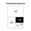 Папки-файлы перфорированные, А4, "Три восьмерки", комплект 100 шт., гладкие, 30 мкм - фото 10691366