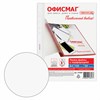 Папки-файлы перфорированные А4 ОФИСМАГ "Стандарт", КОМПЛЕКТ 100 шт., гладкие, 30 мкм, 272680 - фото 11364267