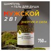 Шампунь + гель для душа мужской 750 мл, SYNERGETIC "Энергия и сила 2 в 1", 701754 - фото 11365045