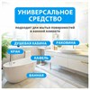 Средство для чистки сантехники кислотное 5,5 кг, GRASS GLOSS PROFESSIONAL, концентрат, 125323 - фото 11365305