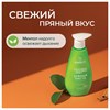 Зубная паста 240 мл, SYNERGETIC "Комплексный уход", с маслами корицы и чайного дерева, дозатор, 201024 - фото 11365377