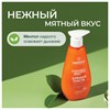 Зубная паста 240 мл, SYNERGETIC "Защита от кариеса", с экстрактом имбиря и нимом, дозатор, 201022 - фото 11365464