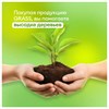 Зубная паста 250 мл, CRISPI by GRASS, "Для чувствительных зубов", без фтора, дозатор, 125723 - фото 11365472