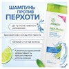 Шампунь-бальзам 400 мл SYNERGETIC HAIR THERAPY "Против перхоти 2 в 1", мята и лайм, 701409 - фото 11365809