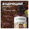 Гель для душа 750 мл, SYNERGETIC "Кофе и зеленый лайм", натуральный, биоразлагаемый, 400007 - фото 11365893