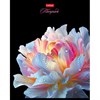 Тетрадь А5, 48 л., HATBER, скоба, клетка, soft-touch ламинация, 3D-лак, "Хрупкие лепестки" (микс), 096197, 48Т5лолВ1 - фото 12242416