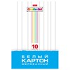 Картон белый А4 МЕЛОВАННЫЙ, 10 листов, в папке, HATBER, 200х280мм, Creative Set, 0949, 10Кб4_05806 - фото 12472337
