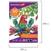 Скетчбук, белая бумага 100 г/м2, 205х290 мм, 50 л., гребень, жёсткая подложка, BRAUBERG ART DEBUT, 110983 - фото 1303256