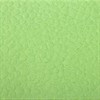 Салфетки бумажные, 250 шт., 24х24 см, LAIMA, зеленые (пастельный цвет), 100% целлюлоза, 111952 - фото 1306758