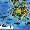 Карта мира "Животный и растительный мир" 101х69 см, интерактивная, в тубусе, ЮНЛАНДИЯ, 112373 - фото 1306856