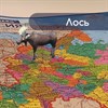 Карта России политико-административная 101х70 см, 1:8,5М, интерактивная, европодвес, BRAUBERG, 112395 - фото 1308779