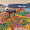 Карта России политико-административная 101х70 см, 1:8,5М, интерактивная, в тубусе, BRAUBERG, 112396 - фото 1308789