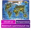 Карта мира "Животный и растительный мир" 101х69 см, интерактивная, в тубусе, ЮНЛАНДИЯ, 112373 - фото 1310862