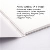 Папка для акварели/планшет, 300 г/м2, 190х270 мм, склейка, крупное зерно, 20 л., BRAUBERG ART PREMIERE, 113247 - фото 2561260