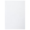 Картон белый А4 МЕЛОВАННЫЙ EXTRA (белый оборот), 16 листов, в папке, BRAUBERG, 200х290 мм, 113561 - фото 2563341