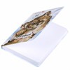 Скетчбук, белая бумага 120 г/м2, 145х203 мм, 80 л., резинка, твердый, BRAUBERG ART DEBUT "Львёнок", 114585 - фото 2567063