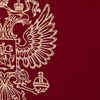 Папка адресная бумвинил бордовый, "Герб России", формат А4, STAFF, 122741 - фото 2571098
