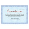Сертификат-бумага для лазерной печати BRAUBERG, А4, 25 листов, 115 г/м2, "Голубая сеточка", 122618 - фото 2571391
