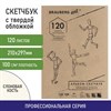 Скетчбук, слоновая кость 100 г/м2, 210х297 мм, 120 л., прошивка, BRAUBERG ART CLASSIC, 128960 - фото 2575421