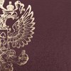 Папка адресная бумвинил с гербом России, формат А4, бордовая, индивидуальная упаковка, STAFF "Basic", 129576 - фото 2576760