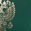 Папка адресная бумвинил с гербом России, формат А4, зеленая, индивидуальная упаковка, STAFF "Basic", 129581 - фото 2577149