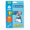Фломастеры 12 ЦВЕТОВ CENTROPEN "Just Perfect", смываемые, устойчивы к высыханию, 2510/12KK, 725101201 - фото 2587702