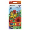 Карандаши цветные BRAUBERG "Wonderful butterfly", 12 цветов, заточенные, картонная упаковка с блестками, 180535 - фото 2595273