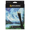 Карандаши цветные BRAUBERG "Artist line", 18 цветов, черный корпус, шестигранные, грифель 3 мм, натуральное дерево, 180554 - фото 2595325