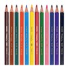 Карандаши цветные утолщенные BIC "Kids Evolution Triangle", 12 цветов, пластиковые, трехгранные, картонная упаковка, 8297356 - фото 2595452