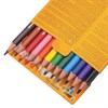 Карандаши цветные утолщенные BIC "Kids Evolution Triangle", 12 цветов, пластиковые, трехгранные, картонная упаковка, 8297356 - фото 2596120