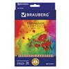 Карандаши цветные BRAUBERG "Цветы", набор 18 цветов, трехгранные, лакированное дерево, 181289 - фото 2596273